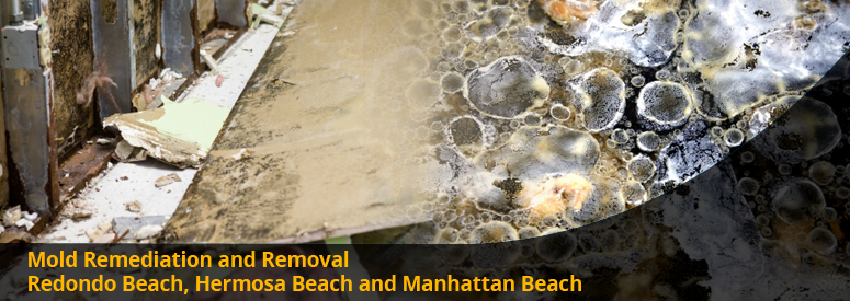 Mold Remediation and Removal Redondo Beach, Hermosa Beach, Manhattan Beach